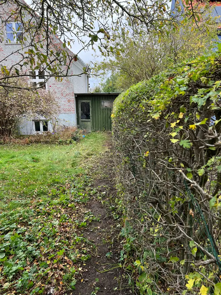 Hæk og græsplæne ved et hus efter beskæring